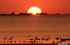 山东日出小姐姐,见证东方第一缕阳光的美丽瞬间