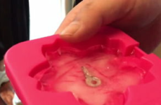 小姐姐脚铐,揭秘小姐姐脚铐的独特魅力